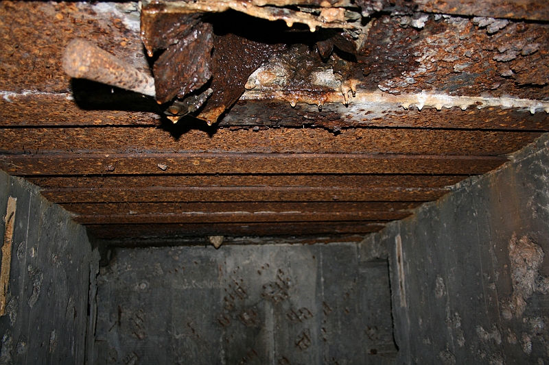 Rostoczek 11.2008 296